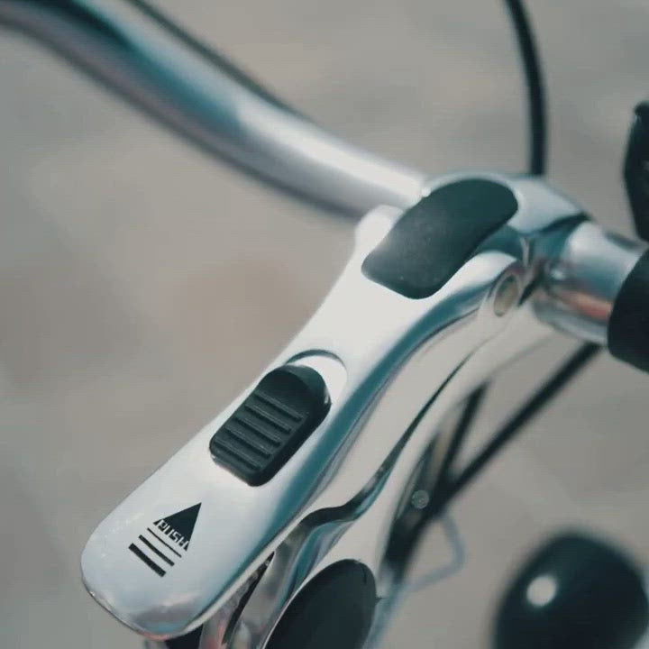 Lyssa-e-bike handlebar adjustment