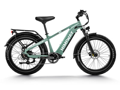 Himiway D5 Zebra all terrain electric bike