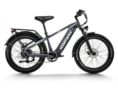 Himiway D5 Zebra all terrain electric bike