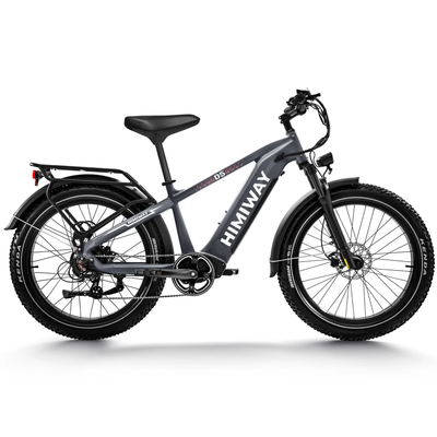Himiway D5 Zebra all terrain electric bike