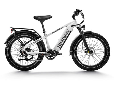 Himiway D5 Zebra all terrain electric bike