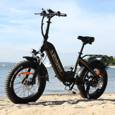 bodywel f20 fat tyre electric bike