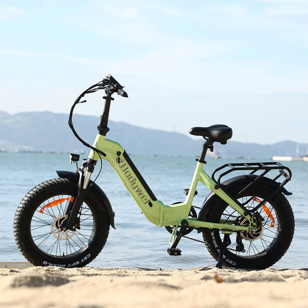 bodywel f20 fat tyre electric bike