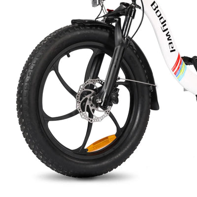 bodywel f20 se fat tyre e-bike