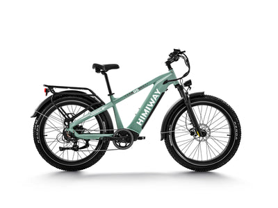 Himiway D5 Zebra all terrain electric bike