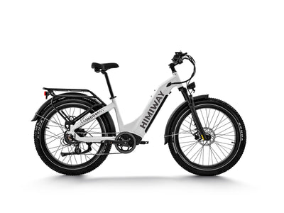 Himiway D5 Zebra all terrain electric bike