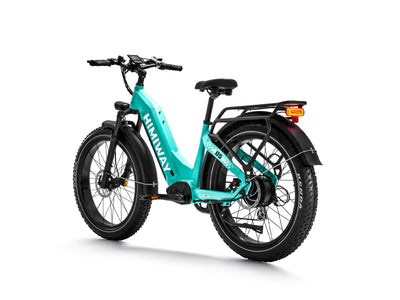 Himiway D5 Zebra all terrain electric bike