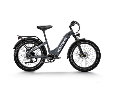 Himiway D5 Zebra all terrain electric bike