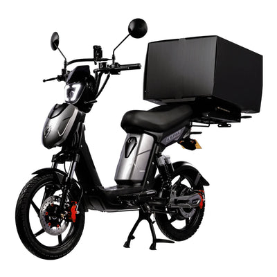 Eskuta SX-250 Series 4 Cargo Electric Bike