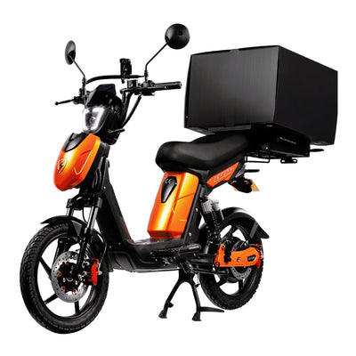 Eskuta SX-250 Series 4 Cargo Electric Bike