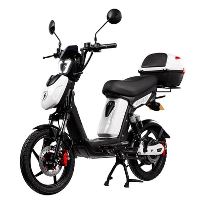 Eskuta SX-250 Series 4 Voyager Electric Bike