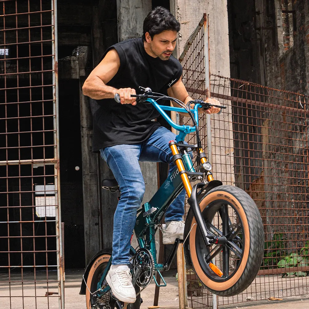 Fiido Fiido M1 Pro fat tyre e-bike