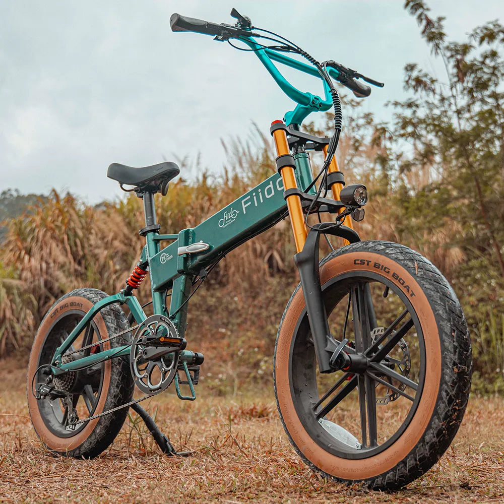 Fiido Fiido M1 Pro fat tyre e-bike