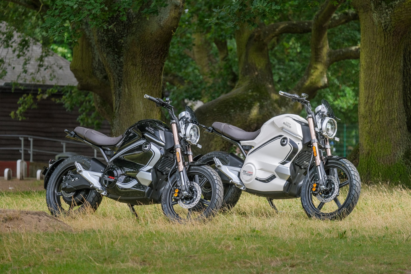 Vmoto Wanderer Pro electric motorbike