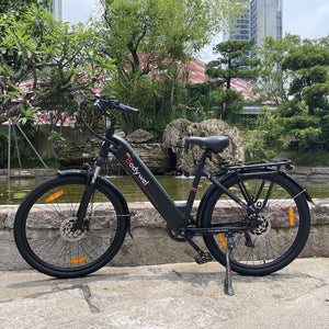 bodywel a275 e-bike