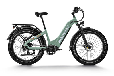 Himiway D5 Zebra all terrain electric bike