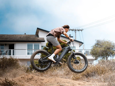 Himiway D7 Cobra electric bike