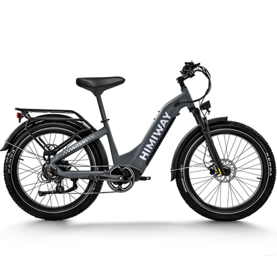 Himiway D5 Zebra all terrain electric bike