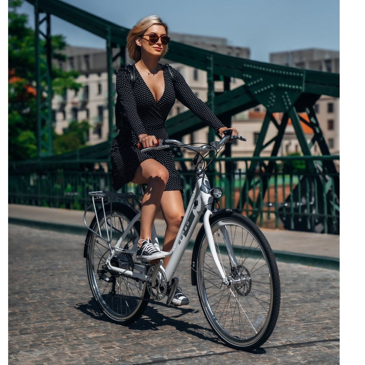 City Bike Dutch Style Ladies Electric Bike Electric Bike